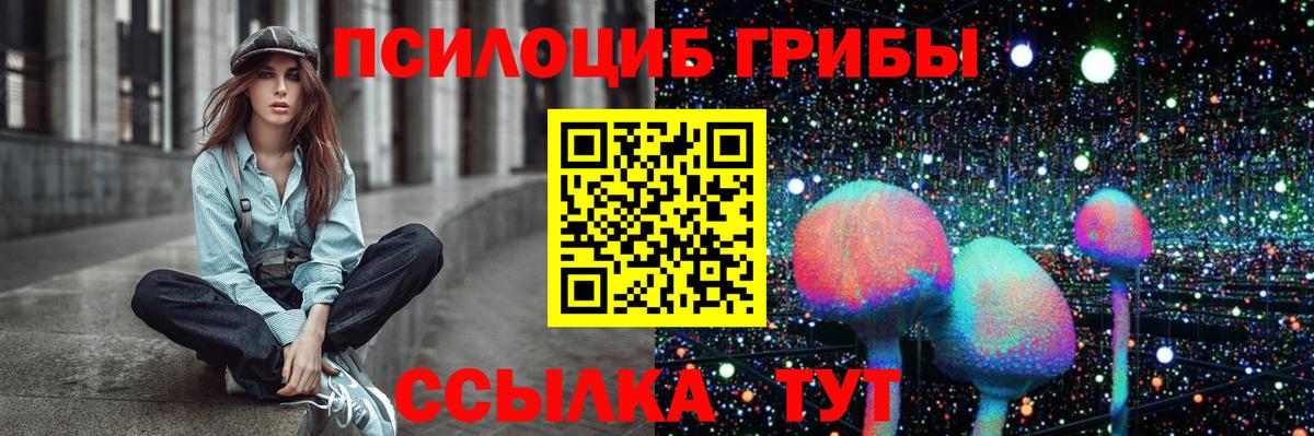 Пугачёв  Псилоцибиновые грибы прущие грибы  Псилоцибиновые грибы MAGIC MUSHROOMS  Вход с VPN 